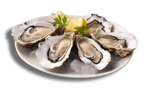 Fresh oysters